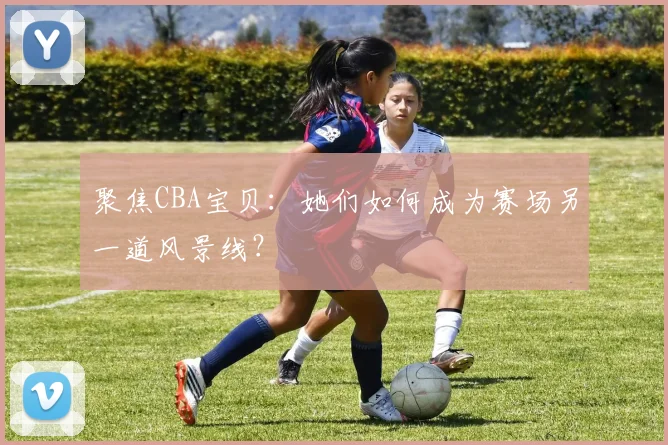 聚焦CBA宝贝:她们如何成为赛场另一道风景线?