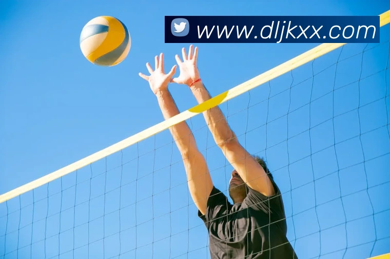 必一体育sport的隐私政策APP 封面图